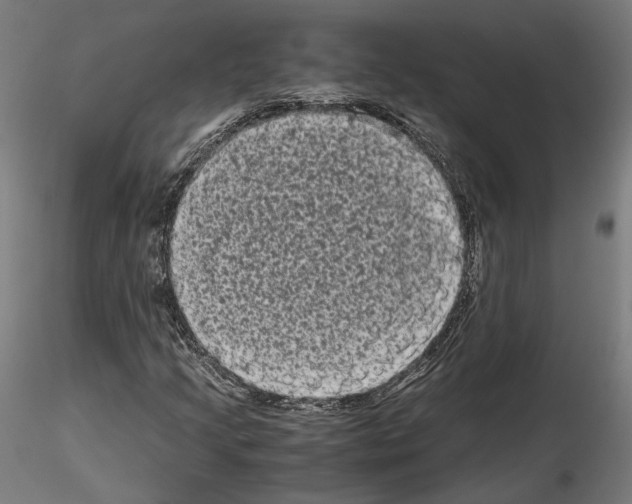 X0000114521205200911301108