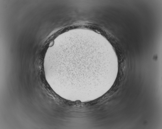 X0000114521206200911301108