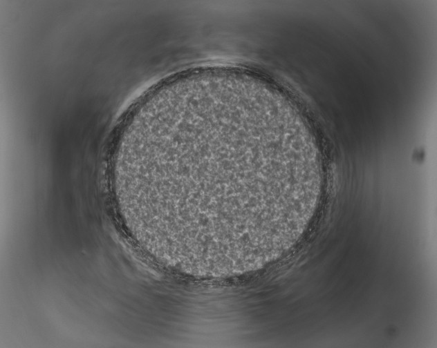 X0000114521208200911301108