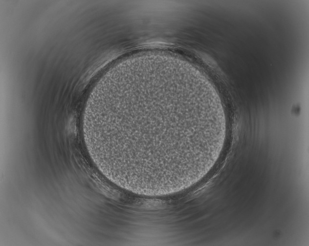 X0000114521209200911301108