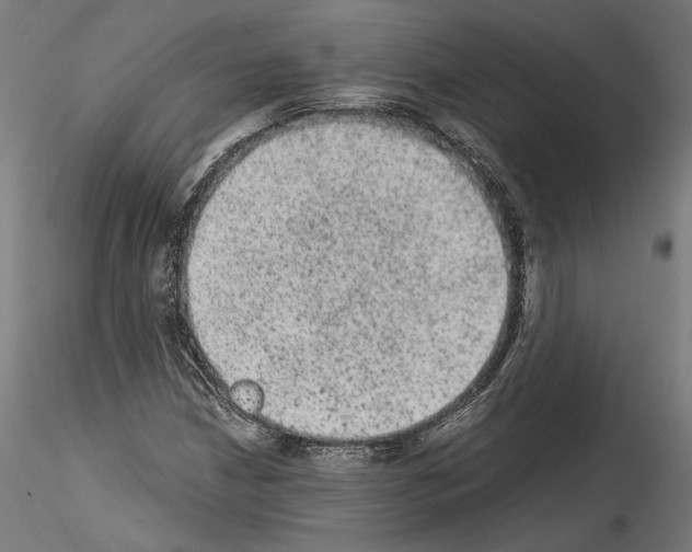 X0000114521210200911301108