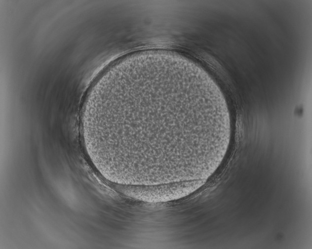 X0000114521212200911301109