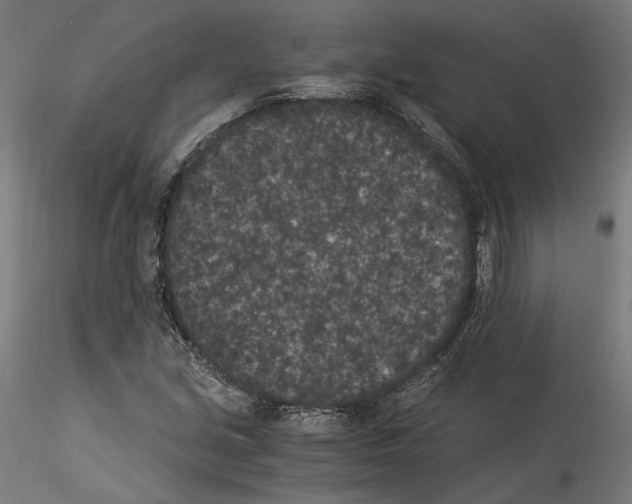 X0000114521213200911301109