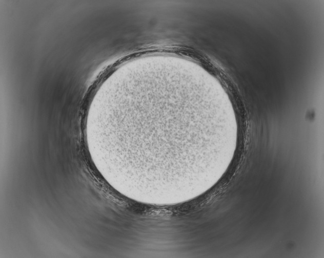 X0000114521214200911301109