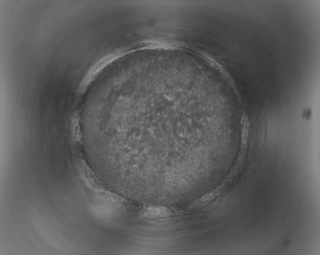 X0000114521215200911301109