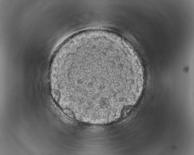 X0000114521216200911301109