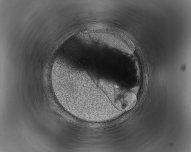 X0000114521217200911301109