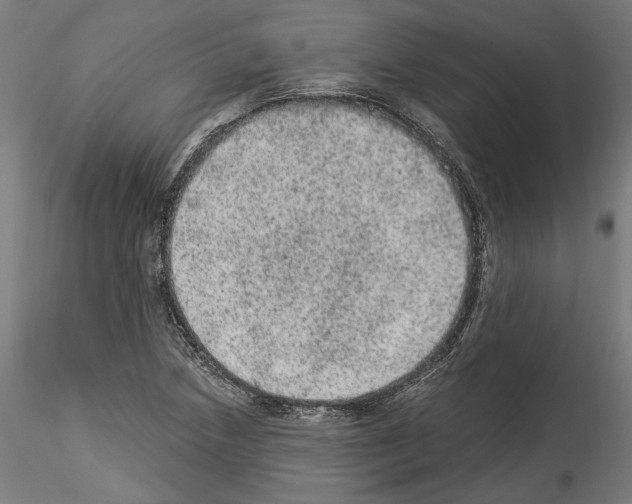 X0000114521218200911301109