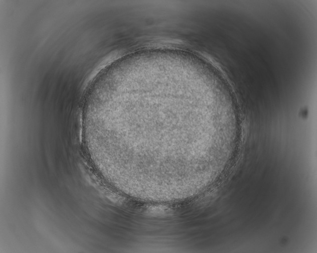 X0000114521219200911301109