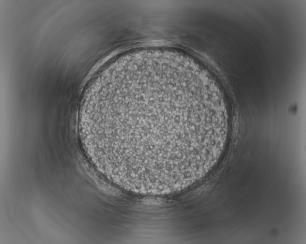 X0000114521220200911301109