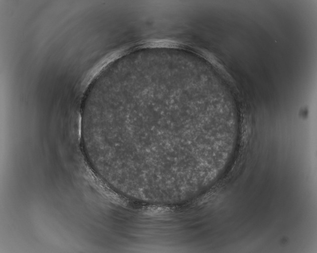 X0000114521221200911301109