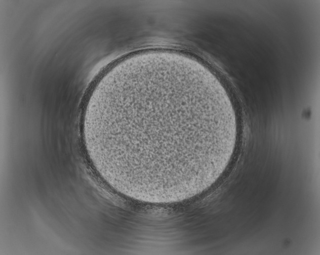 X0000114521222200911301109