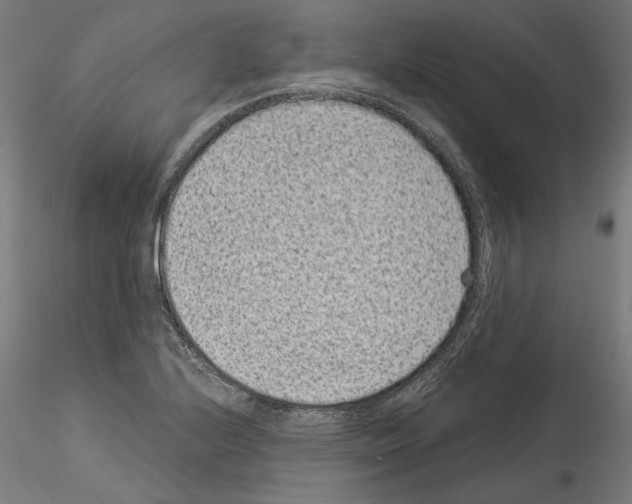 X0000114521224200911301109