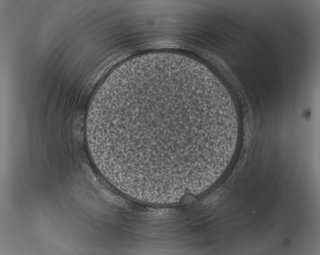 X0000114521225200911301109