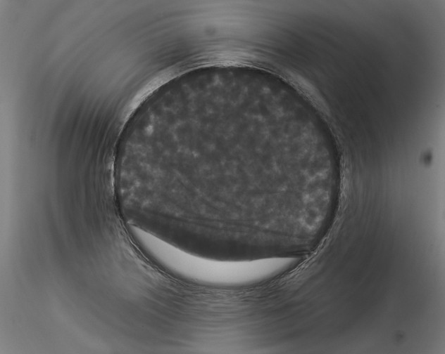 X0000114521226200911301109