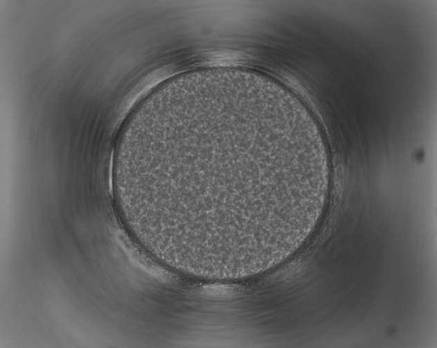 X0000114521227200911301109