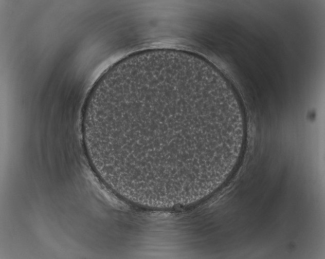 X0000114521230200911301109