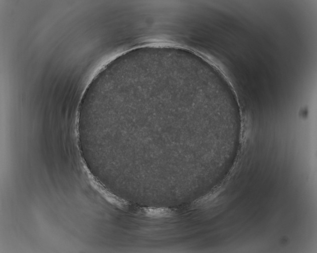 X0000114521231200911301109