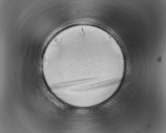 X0000114521232200911301109