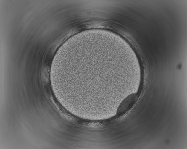 X0000114521233200911301109