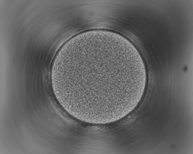 X0000114521234200911301109