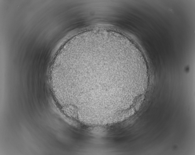 X0000114521235200911301109