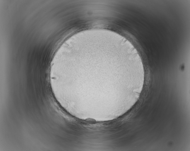 X0000114521236200911301109