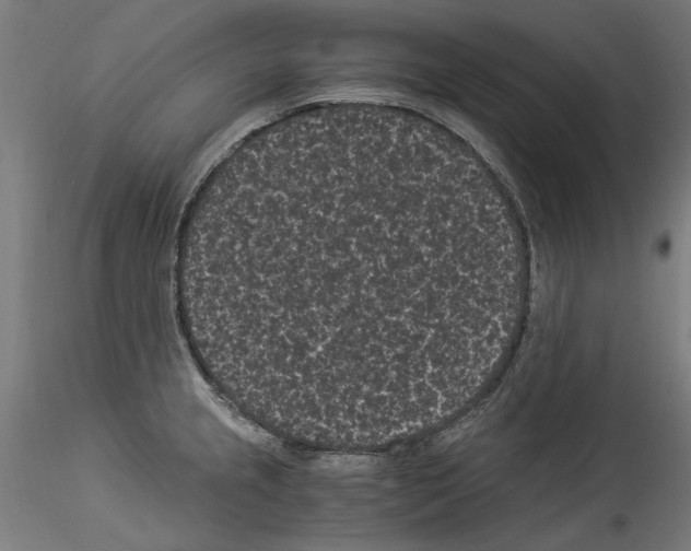 X0000114521237200911301109