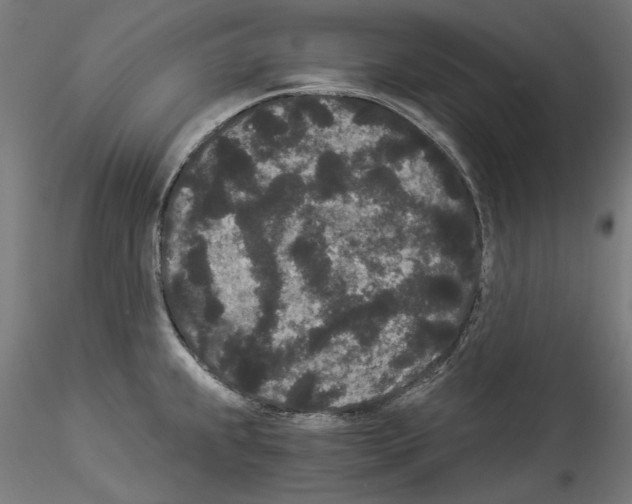 X0000114521239200911301109