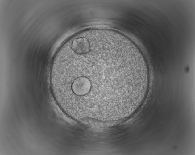 X0000114521240200911301109