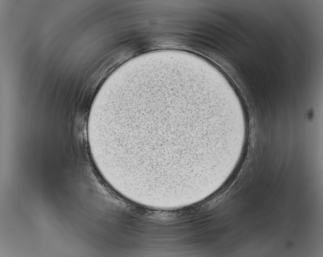 X0000114521241200911301109