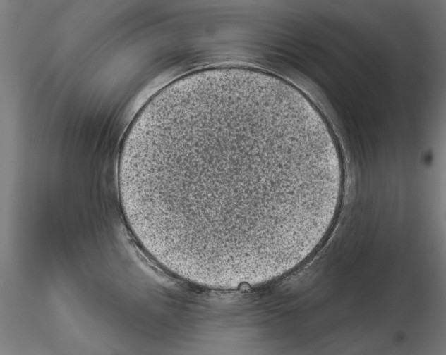 X0000114521242200911301109