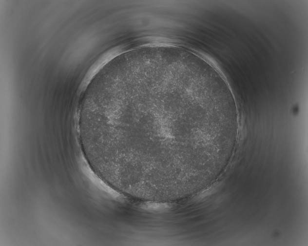 X0000114521243200911301109