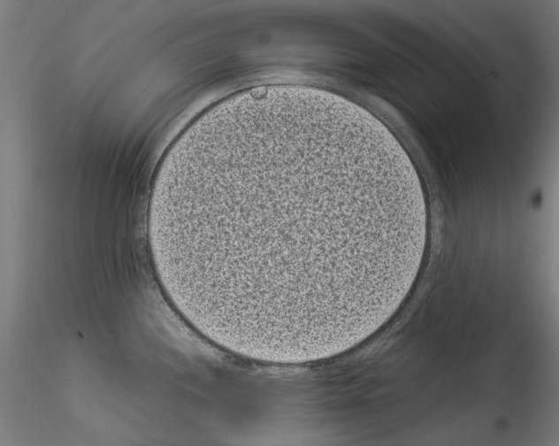 X0000114521244200911301109