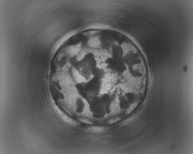 X0000114521245200911301109