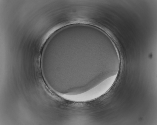 X0000114521246200911301109