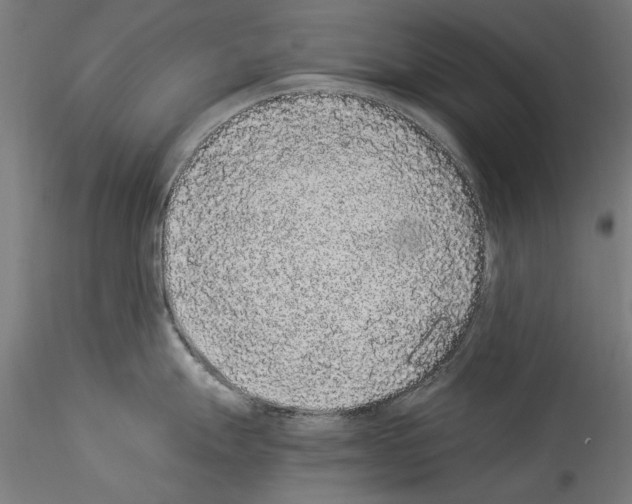 X0000114521247200911301109