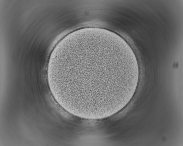 X0000114521248200911301109