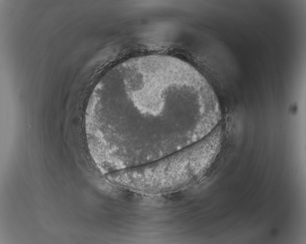 X0000114521249200911301108