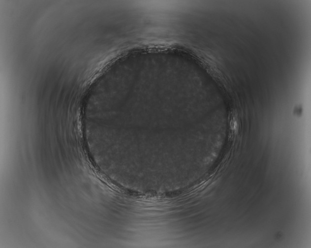 X0000114521252200911301108