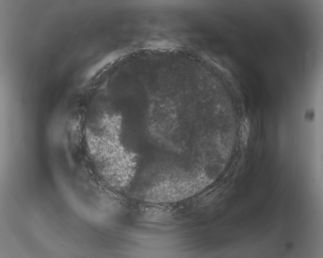 X0000114521254200911301108