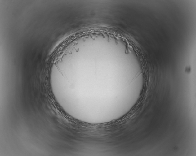 X0000114521256200911301108