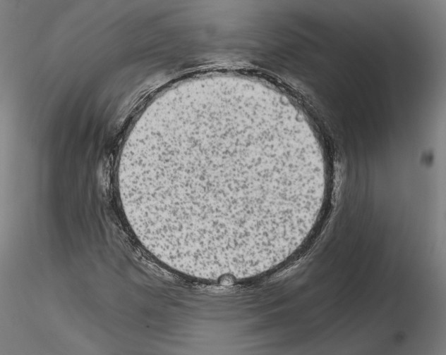 X0000114521257200911301108