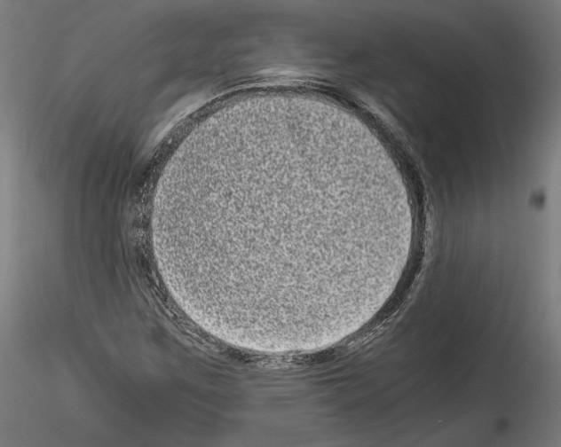 X0000114521259200911301108