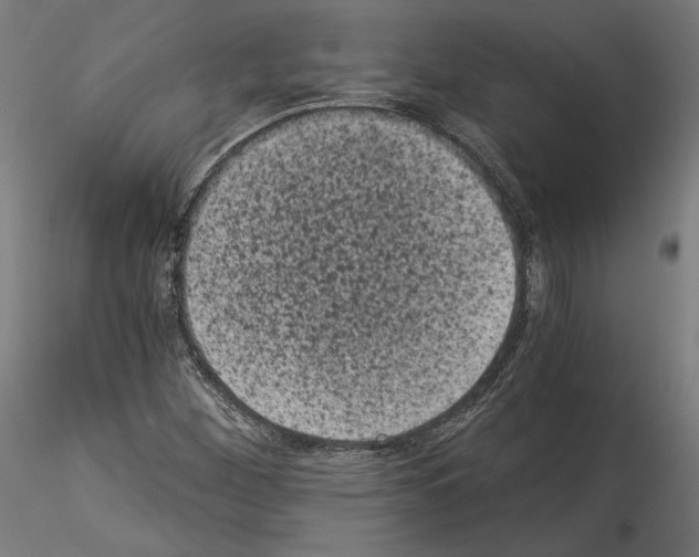 X0000114521260200911301108