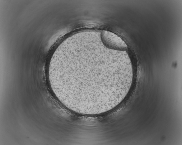 X0000114521261200911301108