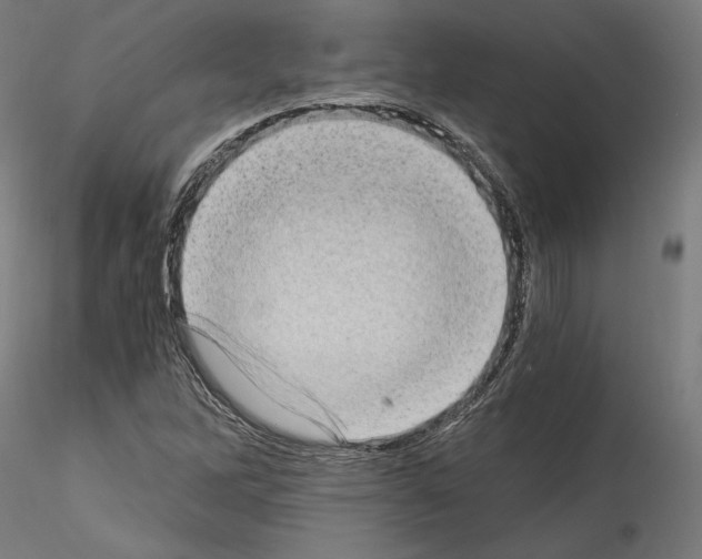 X0000114521262200911301108