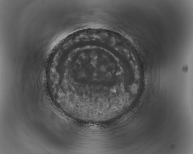 X0000114521263200911301108