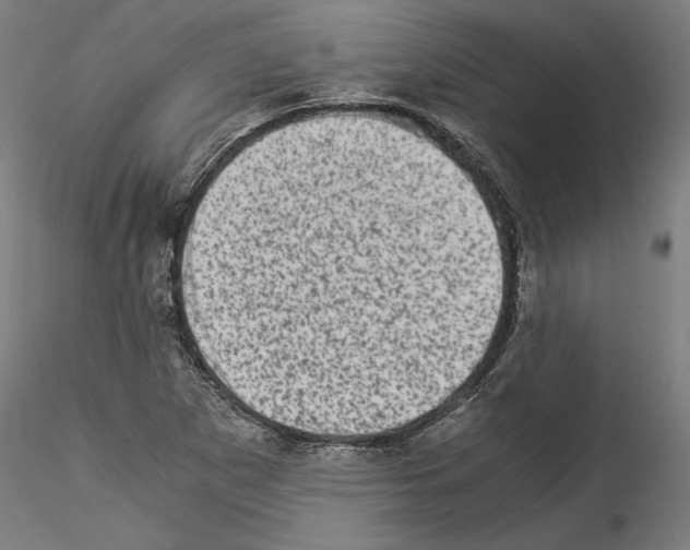 X0000114521265200911301108