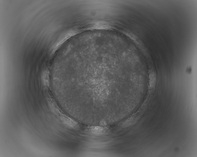 X0000114521266200911301108